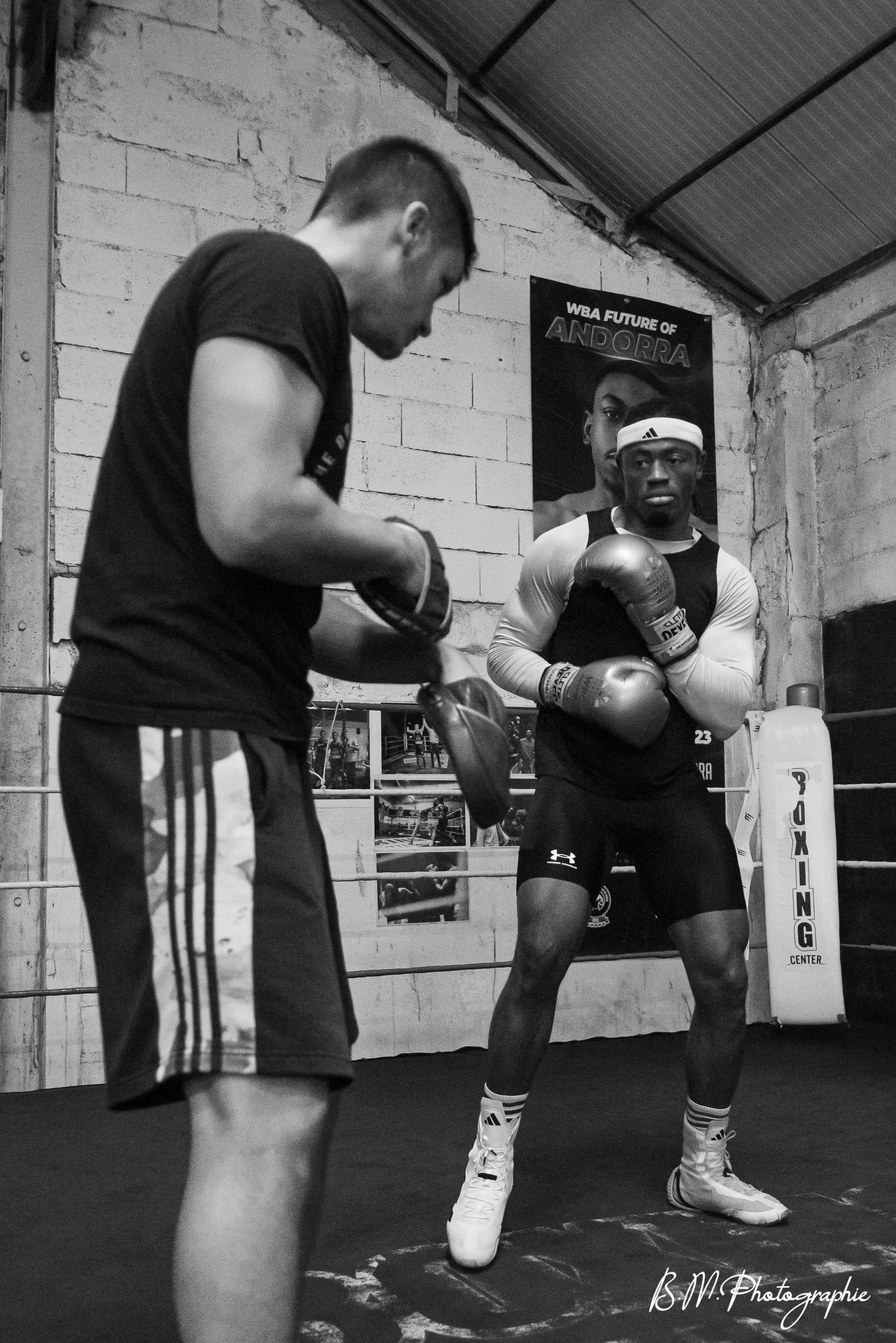 Un coach met les pattes d’ours en place face à un boxeur qui se remet en garde.